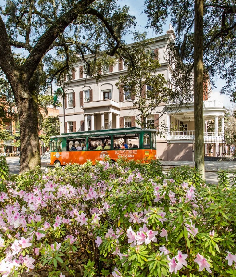 Springtime-Azaleas-in-Savannah.jpg