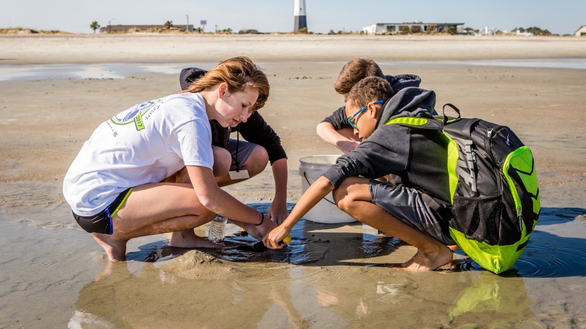 tybee ecology trip tybee island