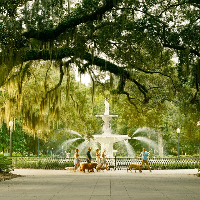 dog tour in forsyth park
