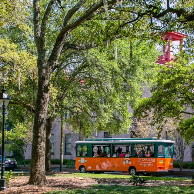 Taylor Square