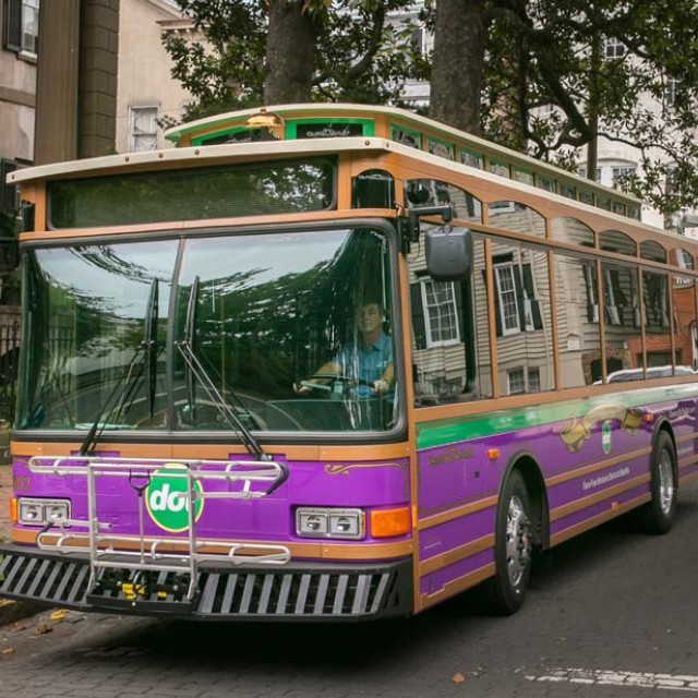 DOT Bus DOT Bus Savannah