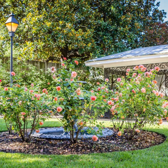 fragrant_garden_at_forsyth_park1.jpg