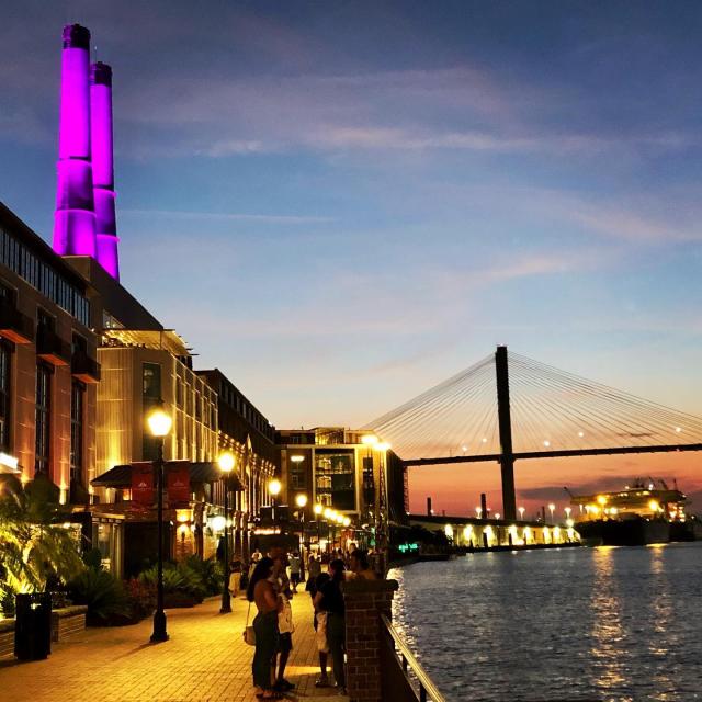 plant riverside district nighttime plant riverside district nighttime