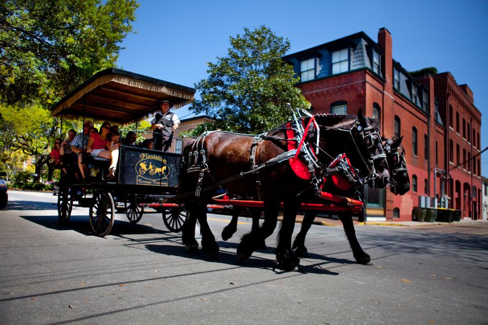 horse drawn tours savannah ga