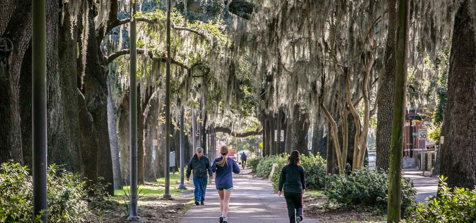 How To Run Your Way Through Savannah Visit Savannah