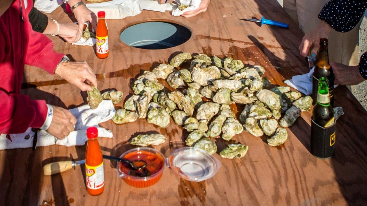 Savannah Oyster Roast