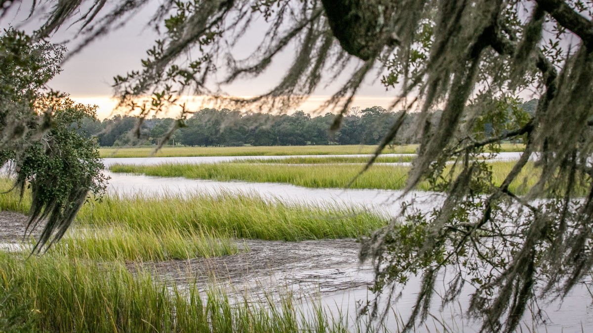 moon-river-marsh-sunset.jpg