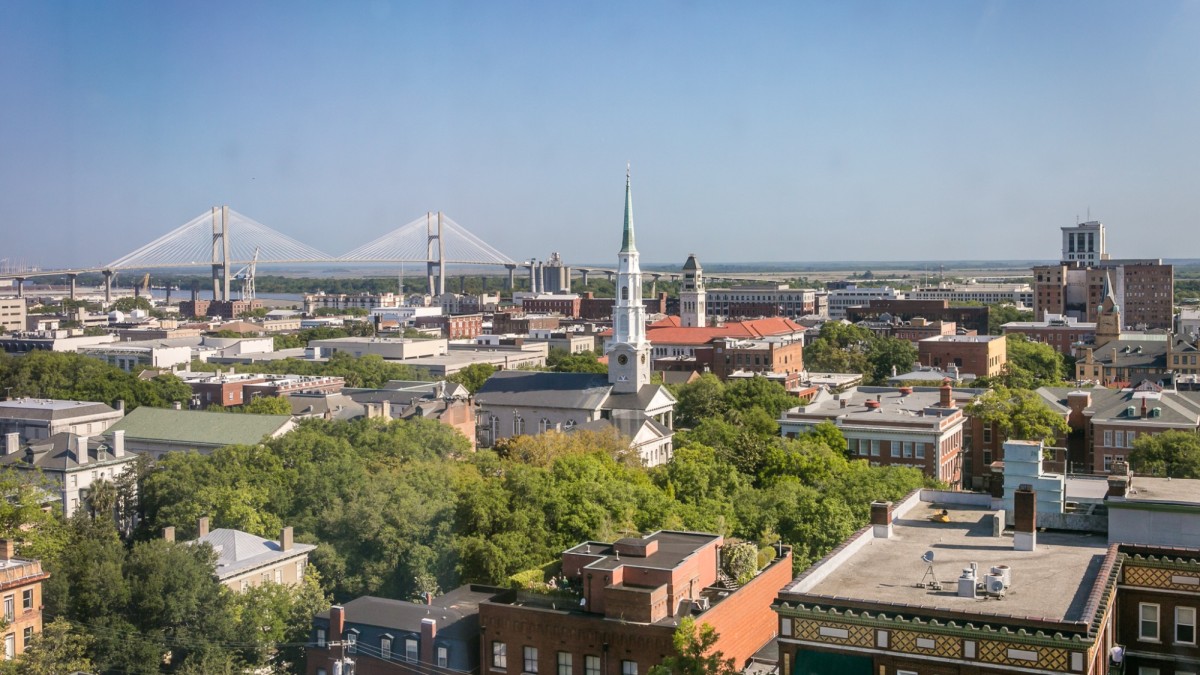 Savannah-aerial-shot.jpg