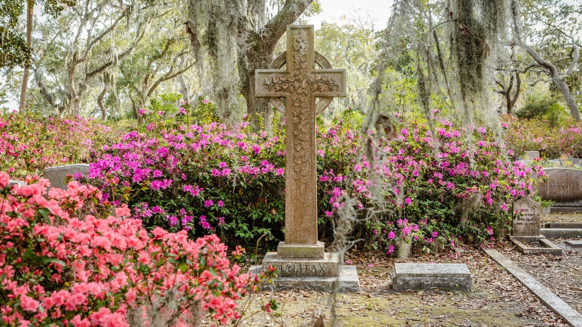 bonaventure-cemetery-azaleas.jpg