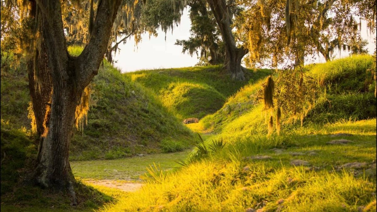 Fort McAllister State Park