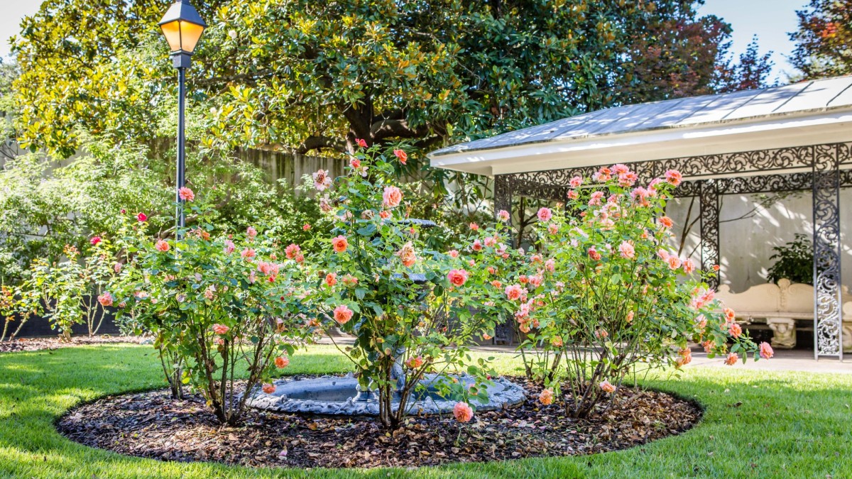 fragrant_garden_at_forsyth_park1.jpg