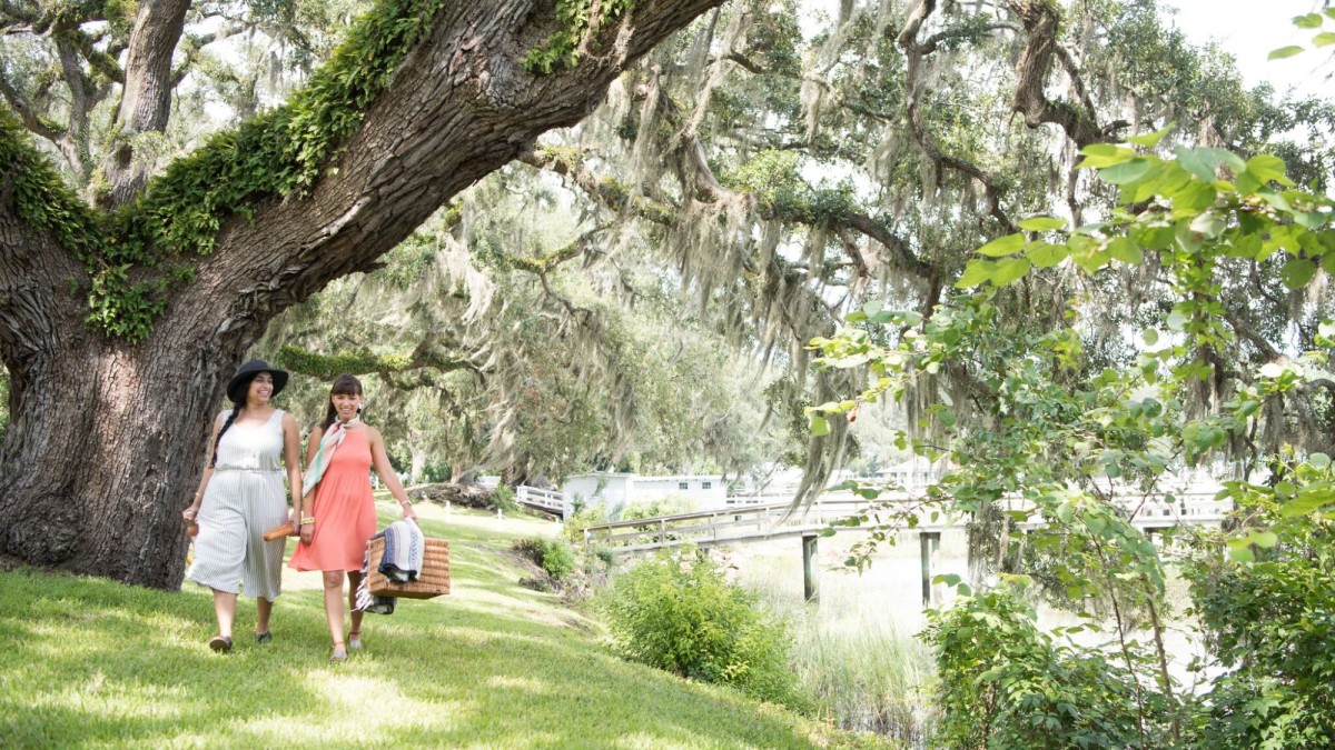 A picnic in Savannah's Moon River District 