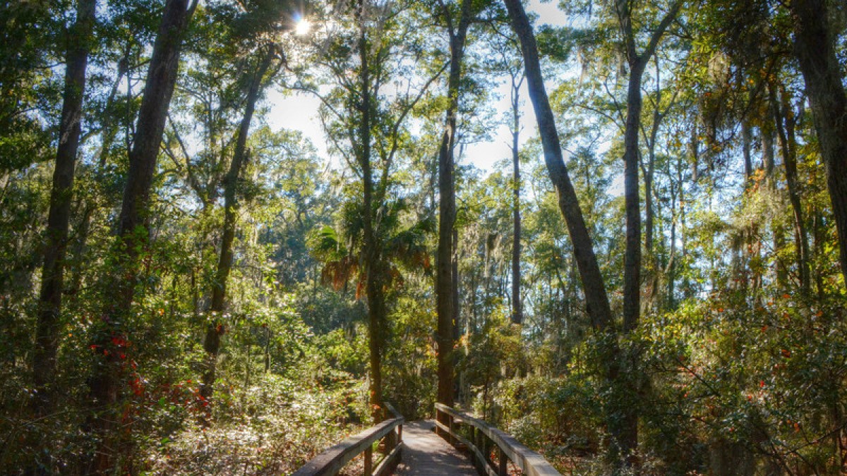 Oatland Island Wildlife Center