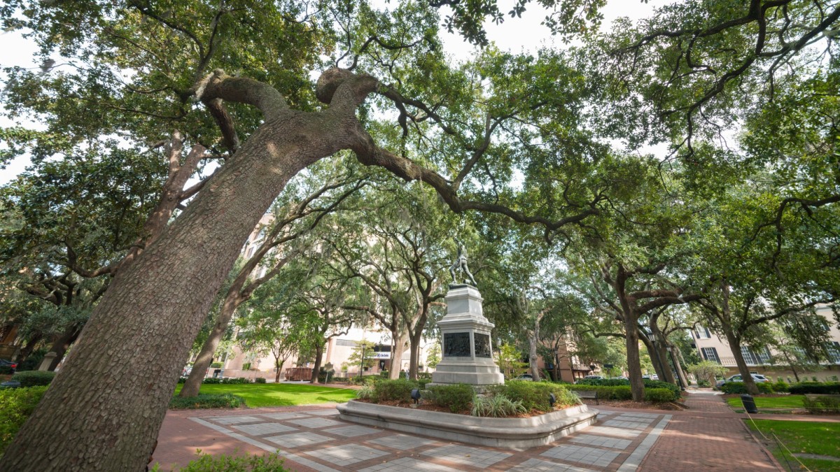 Madison Square Madison Square Savannah