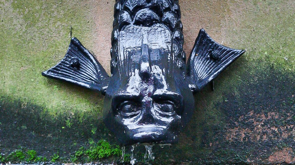 A decorative fish downspout in Savannah, Georgia.