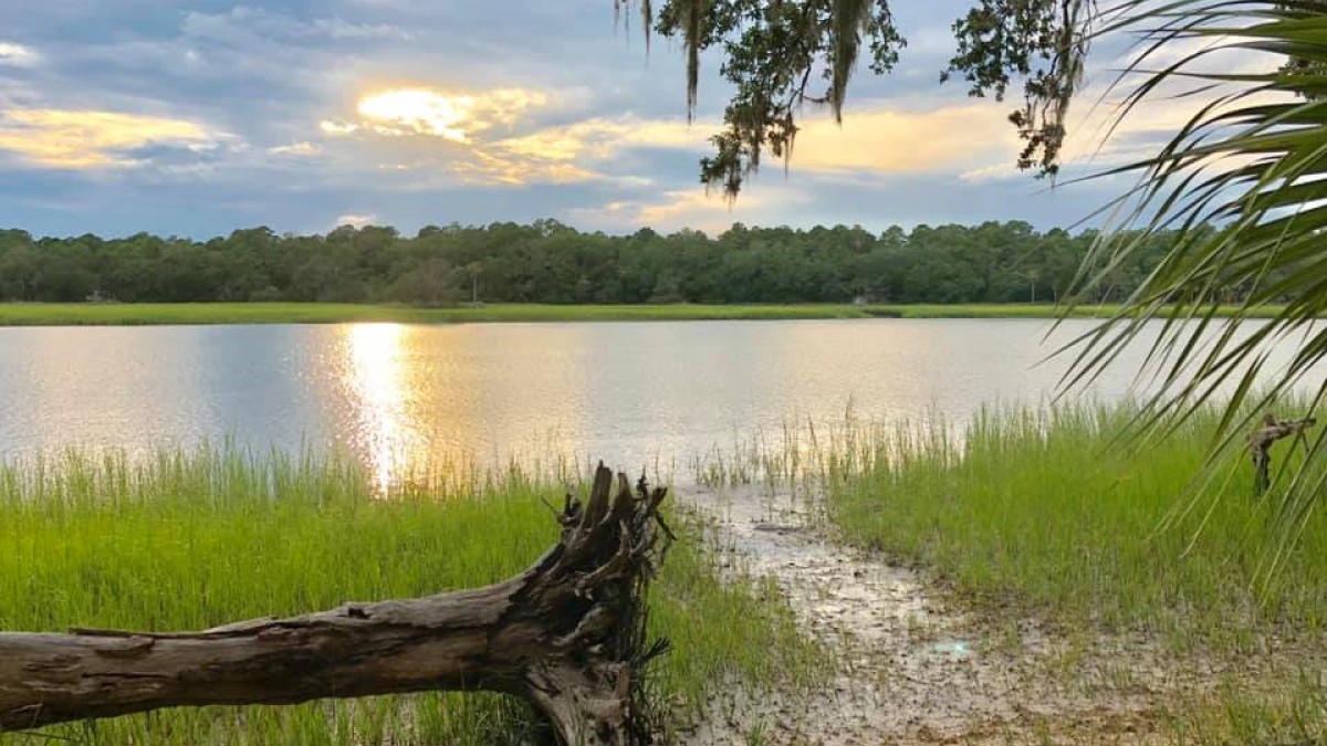 skidaway island state park