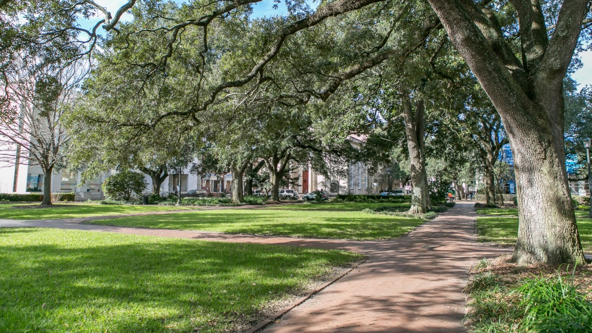 Telfair Square