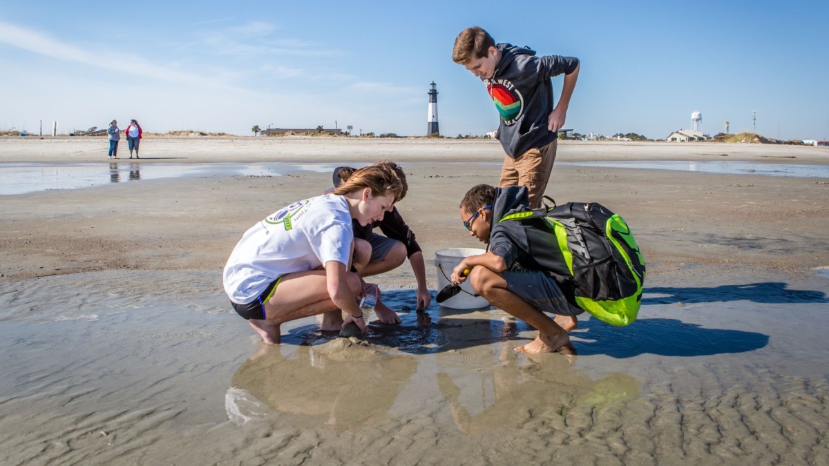 A group of children dig in the sand on the beaches of Tybee Island, Georgia. Tybee Island ecology tours on North Beach