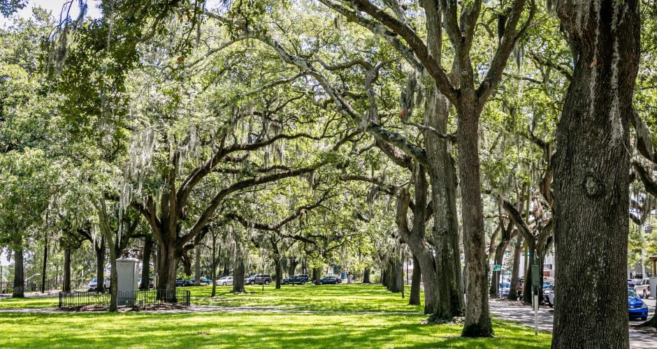 Savannah's Squares and Parks | Visit Savannah