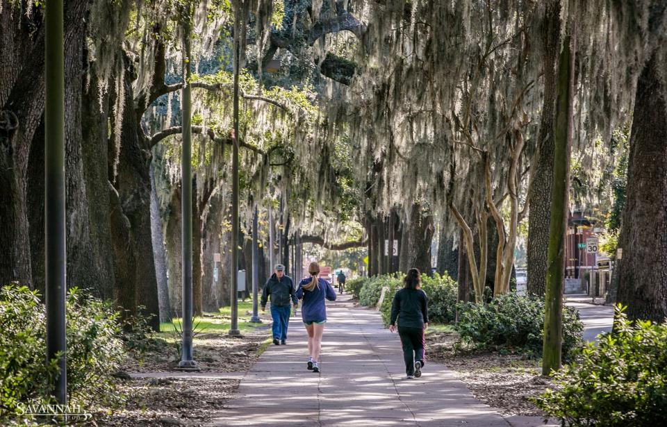 How to Run Your Way Through Savannah Visit Savannah