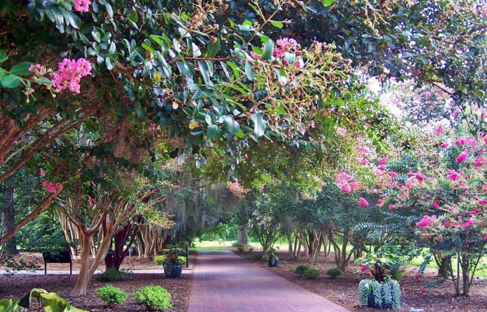 Coastal Georgia Botanical Gardens | Visit Savannah