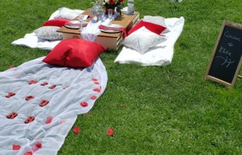 Wedding Proposal