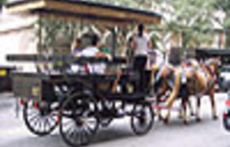 Plantation Carriage Company Plantation Carriage Company