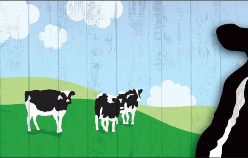 Ben & Jerry Ben & Jerry