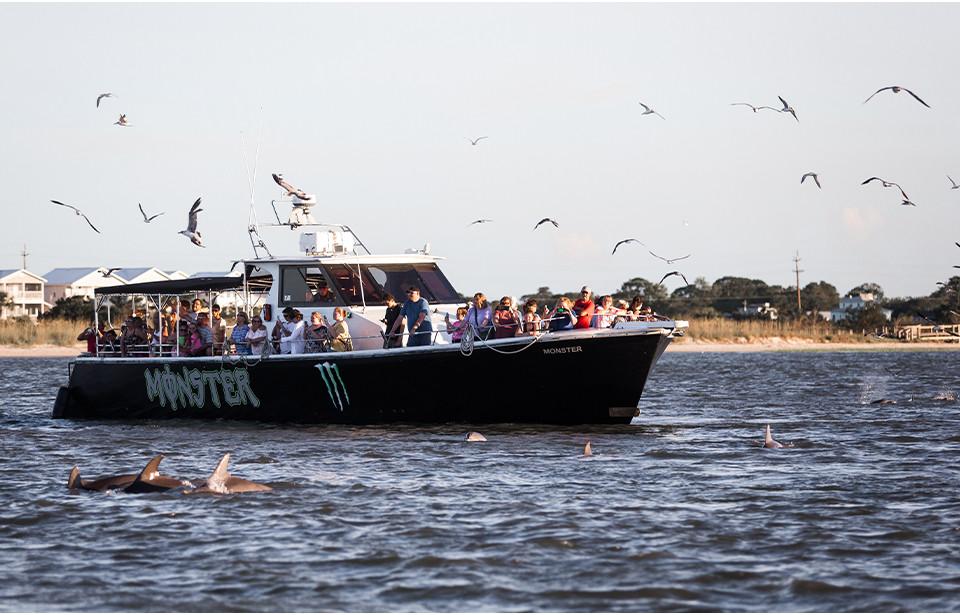 Captain Derek's Dolphin Adventure Tours | Visit Savannah