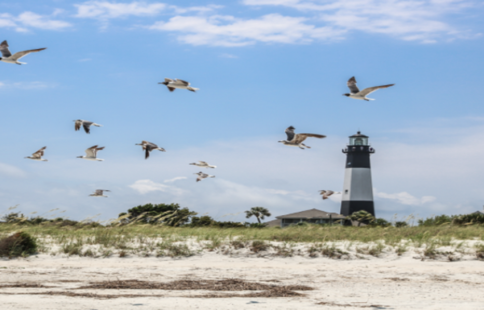 Visit Tybee Visit Tybee