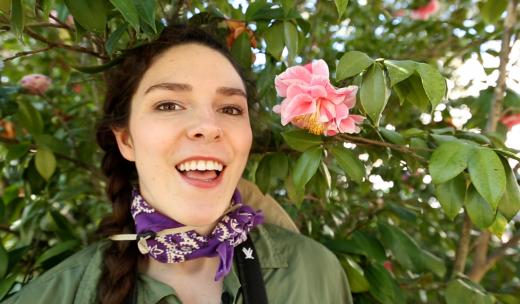 savannah flower hunter savannah flower hunter
