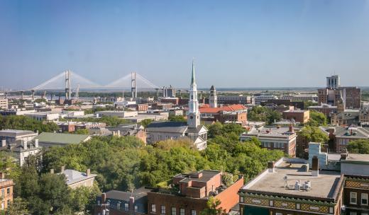 Savannah aerial shot Savannah aerial shot