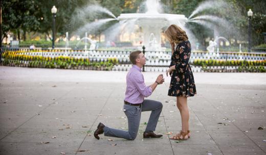 Dream Weaver Photos proposal Dream Weaver Photos proposal