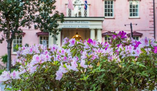 The Olde Pink House The Olde Pink House