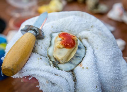 Savannah Oyster Roast