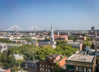Savannah-aerial-shot.jpg