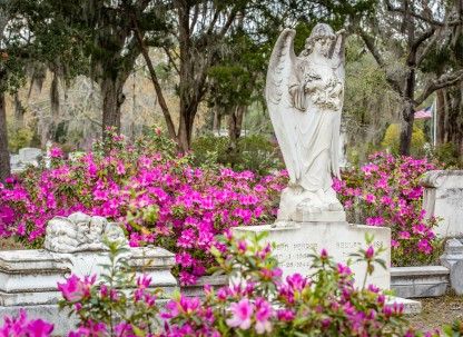 azaleas-bonaventure-cemetery8.jpg