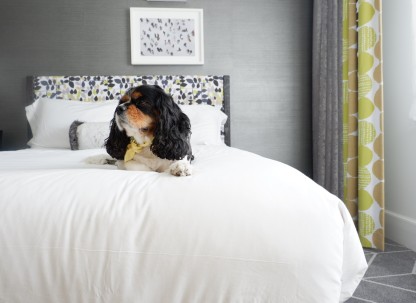 The Brice  Pet-Friendly Brice Hotel