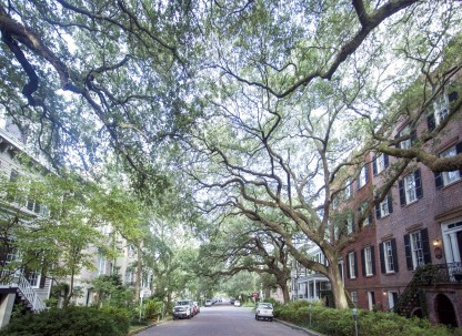 Jones Street Jones Street in Savannah