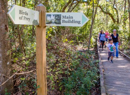 Oatland Island Wildlife Center Oatland Island Wildlife Center