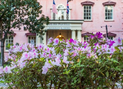 The Olde Pink House The Olde Pink House