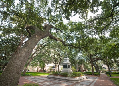 Madison Square Madison Square Savannah