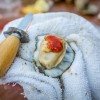 Savannah Oyster Roast