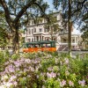 Springtime-Azaleas-in-Savannah.jpg