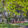 Savannah-square-1.jpg