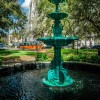 Lafayette Square Fountain and Cathedral Lafayette Square Fountain and Cathedral