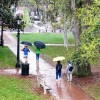 Rainy-Day-in-Savannah.jpg