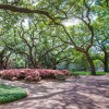 spring-pulaski-square-azaleas-oaks.jpg