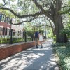 gaston-street-couple-walking.jpg